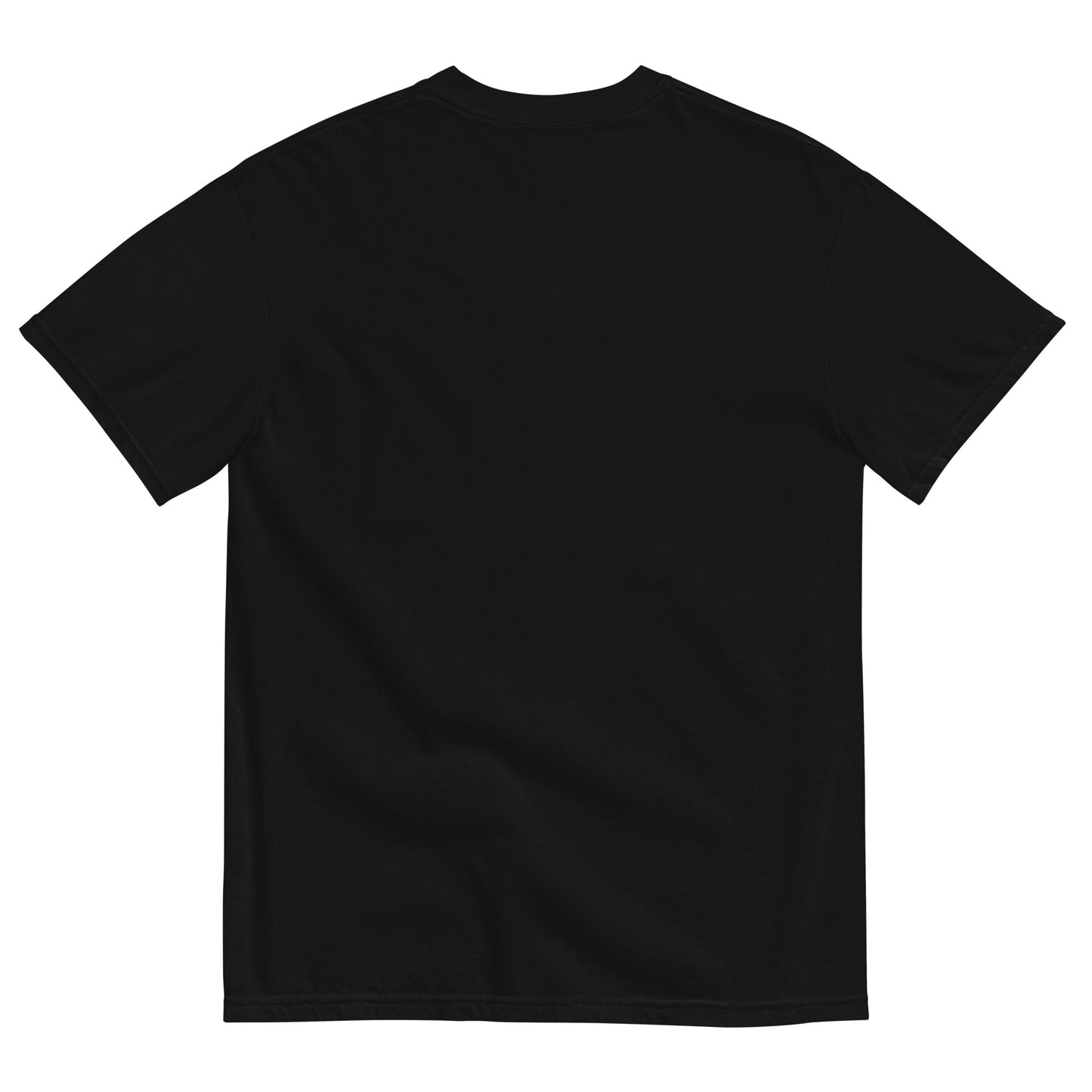 "Feelings are just visitors" T-shirt (Black)