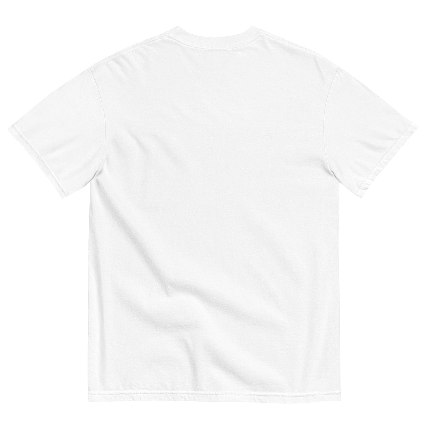 "Feelings are just visitors" T-shirt
